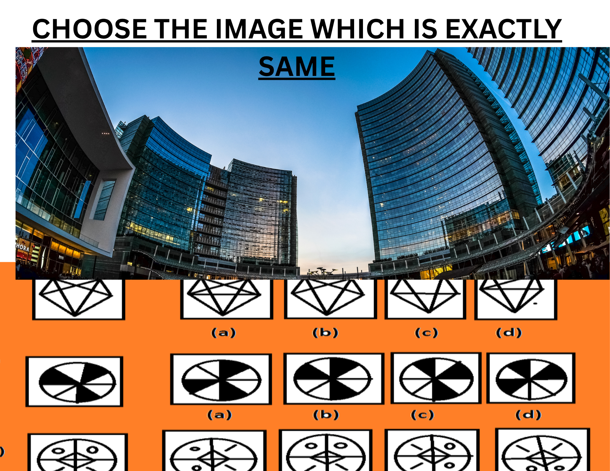 CHOOSE THE IMAGE WHICH