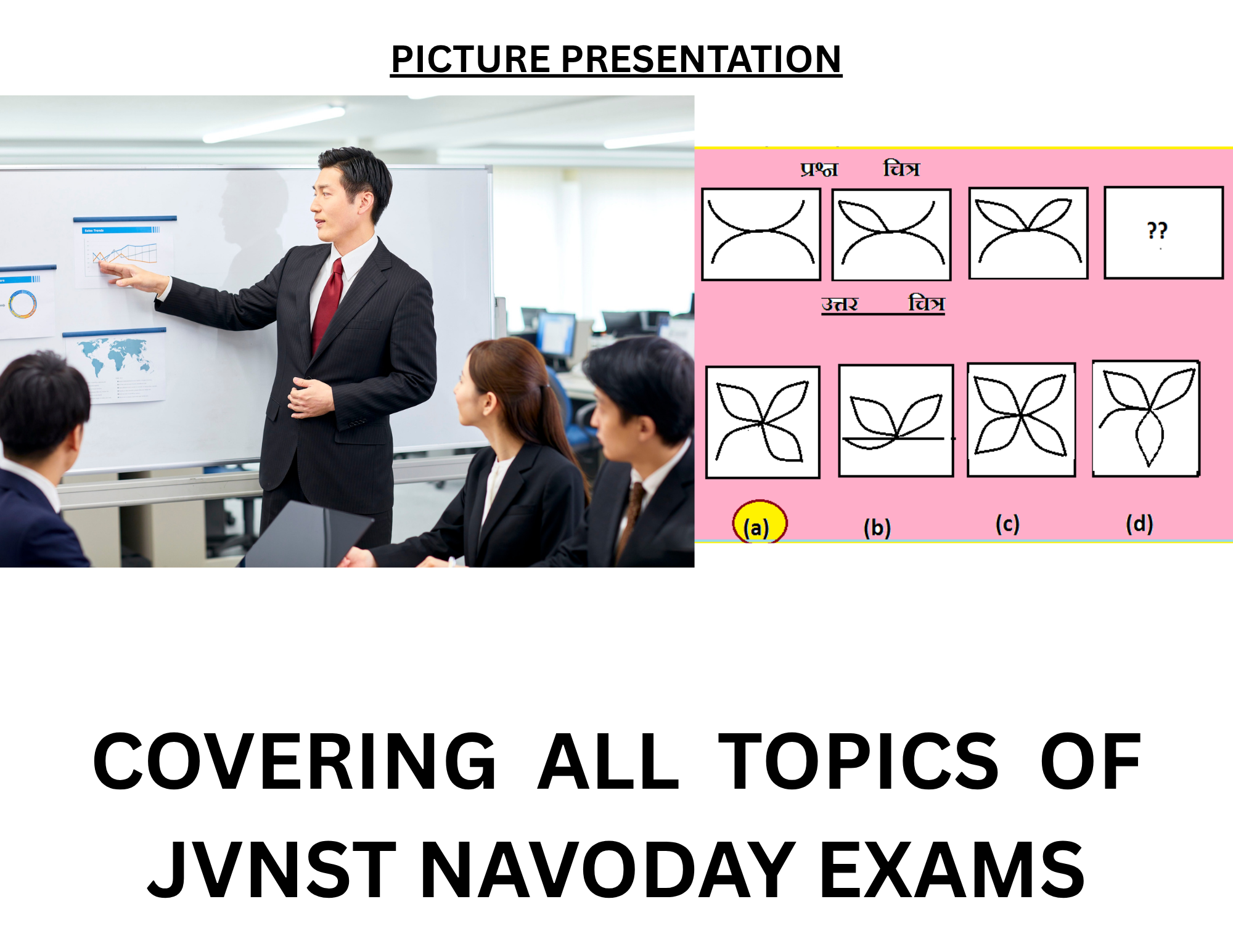 PICTURE PRESENTATION